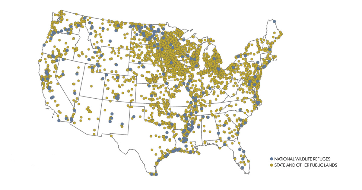 Going Public Graphic.jpg